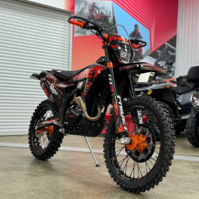 Кроссовый мотоцикл FAIDET PR300 MAX WP в Кургане