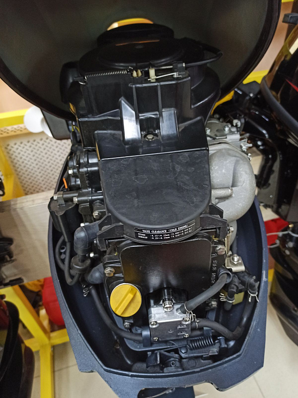 Лодочный мотор BREEZE F9,9S (4х тактный) в Кургане