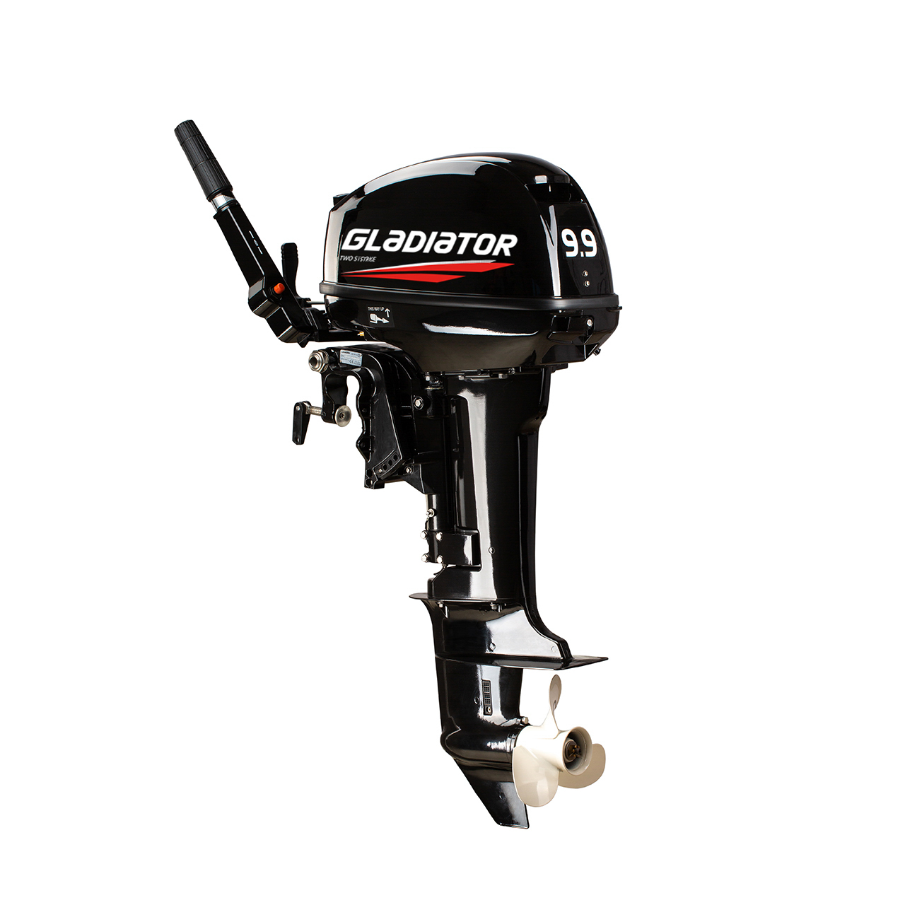 ЛОДОЧНЫЙ МОТОР GLADIATOR G9.9FHS в Кургане