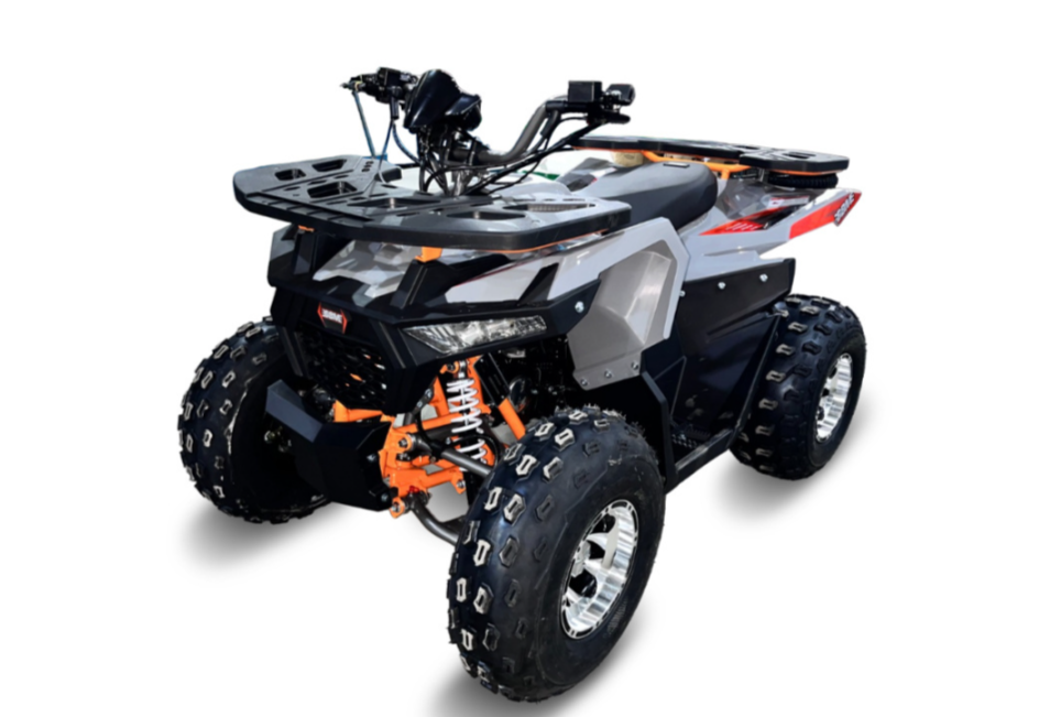 Квадроцикл GBM DAXTER 220 NEW PREMIUM в Кургане