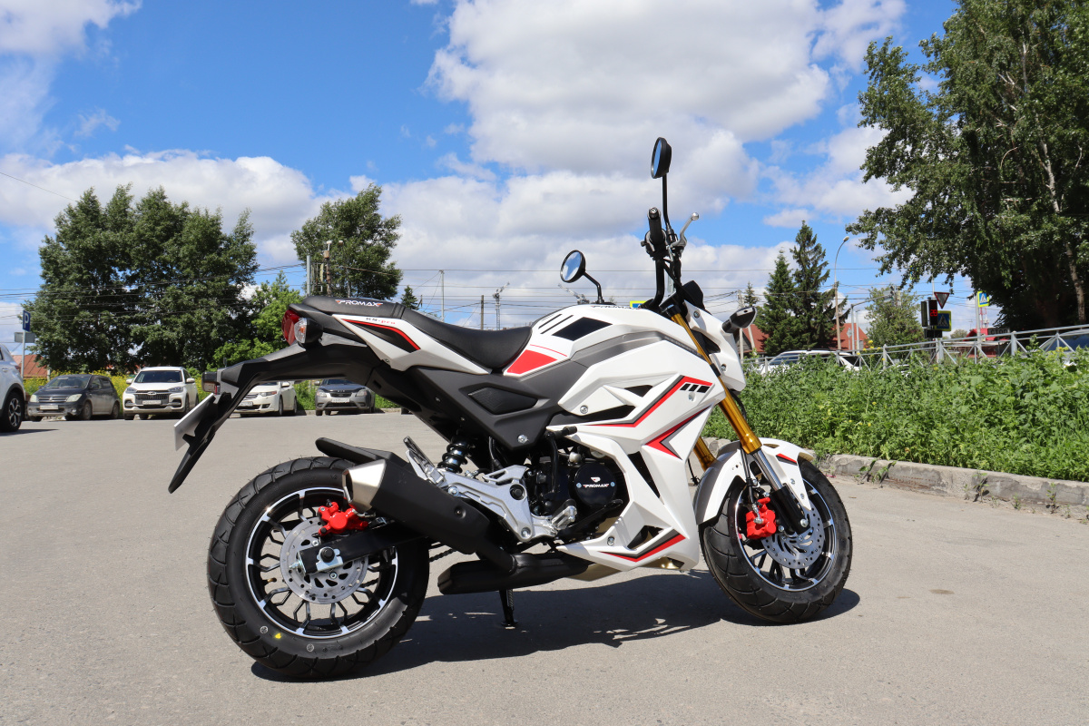 Мотоцикл PROMAX STRYKER 200(49) 2.0 в Кургане
