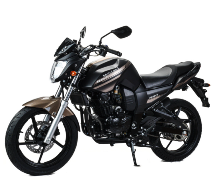 Мотоцикл MOTOLAND (МОТОЛЕНД) 300 BANDIT в Кургане