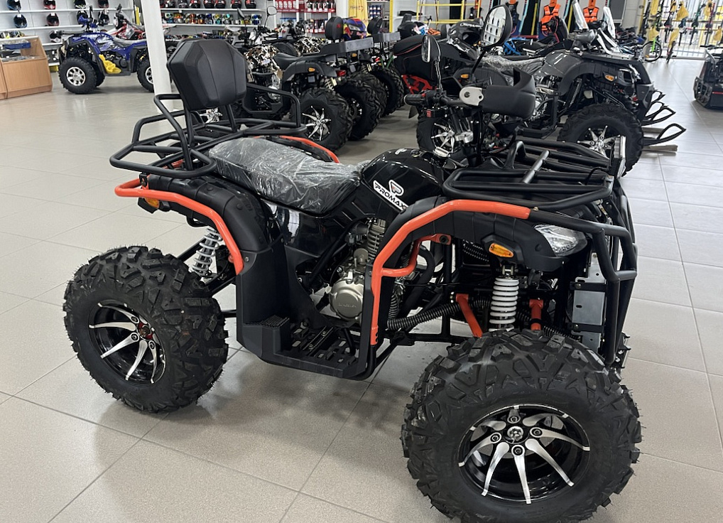 Квадроцикл PROMAX 300 4X4 ALL ROAD в Кургане
