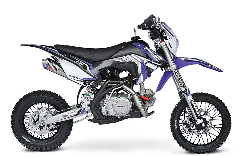 Питбайк Progasi Smart 125 в Кургане