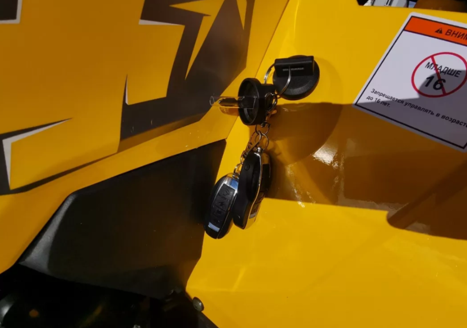 Квадроцикл MOTOLAND (МОТОЛЕНД) VOX200 WILD TRACK X PRO (баланс. вал) в Кургане