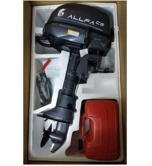 Лодочный мотор ALLFA CG F6 в Кургане