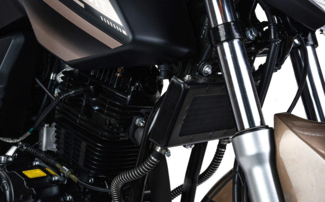 Мотоцикл MOTOLAND (МОТОЛЕНД) 300 BANDIT в Кургане