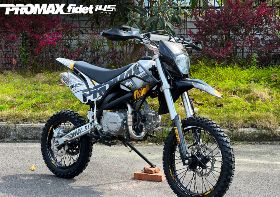 Мотоцикл (питбайк) PROMAX FIDET (ФАЙДЕТ) 145E PRO 17/14 в Кургане