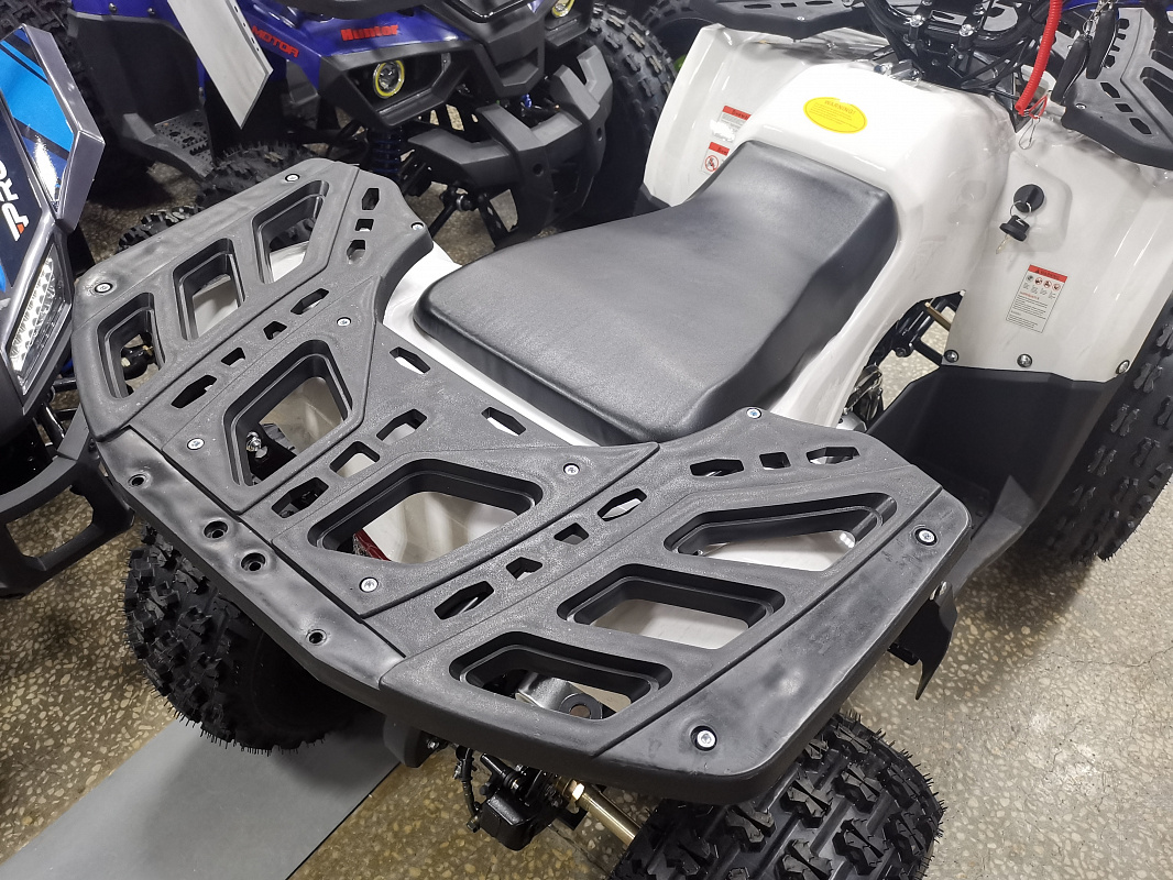 Квадроцикл PROMAX WILD 175 LUX в Кургане