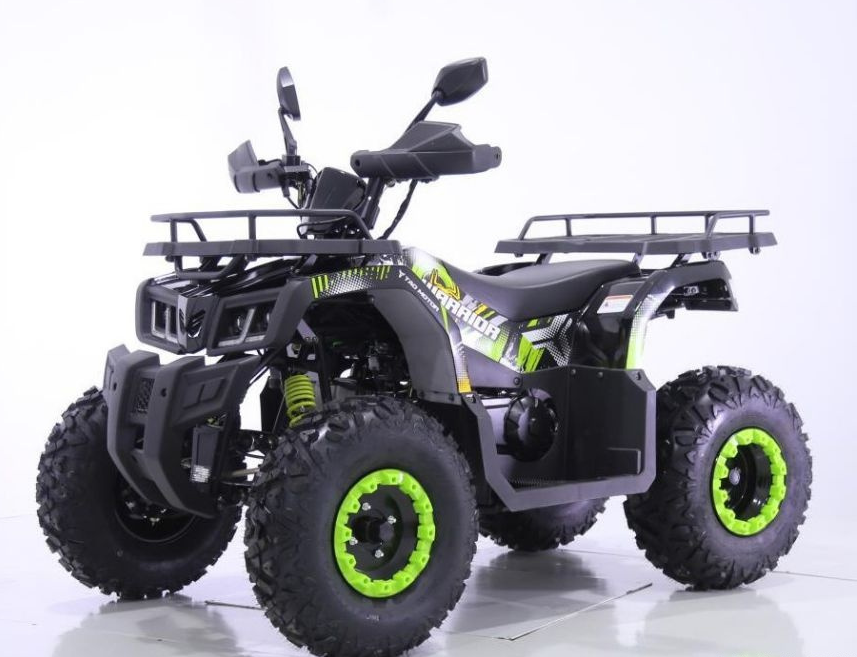Квадроцикл YACOTA WARRIOR 200 PRO в Кургане