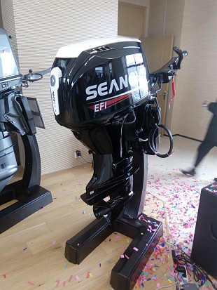 Лодочный мотор SEANOVO SN75FHL-D в Кургане