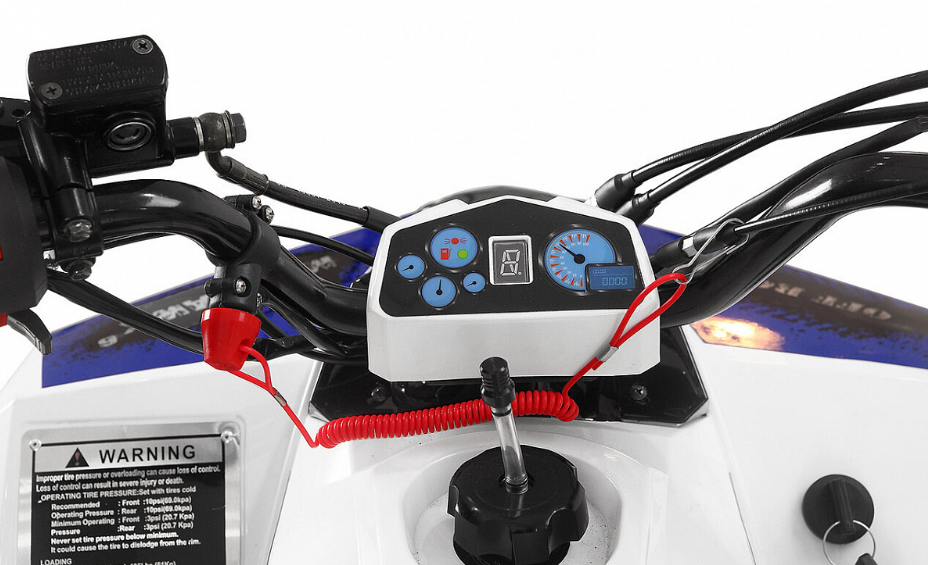 Квадроцикл Yacota Raposa PRO-SPORT в Кургане