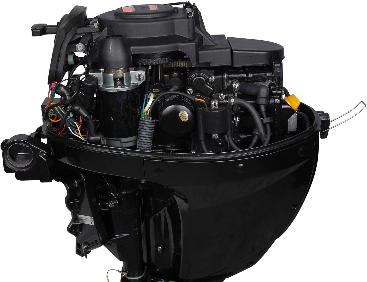 Лодочный мотор MARLIN MF 9.9 AMHL в Кургане