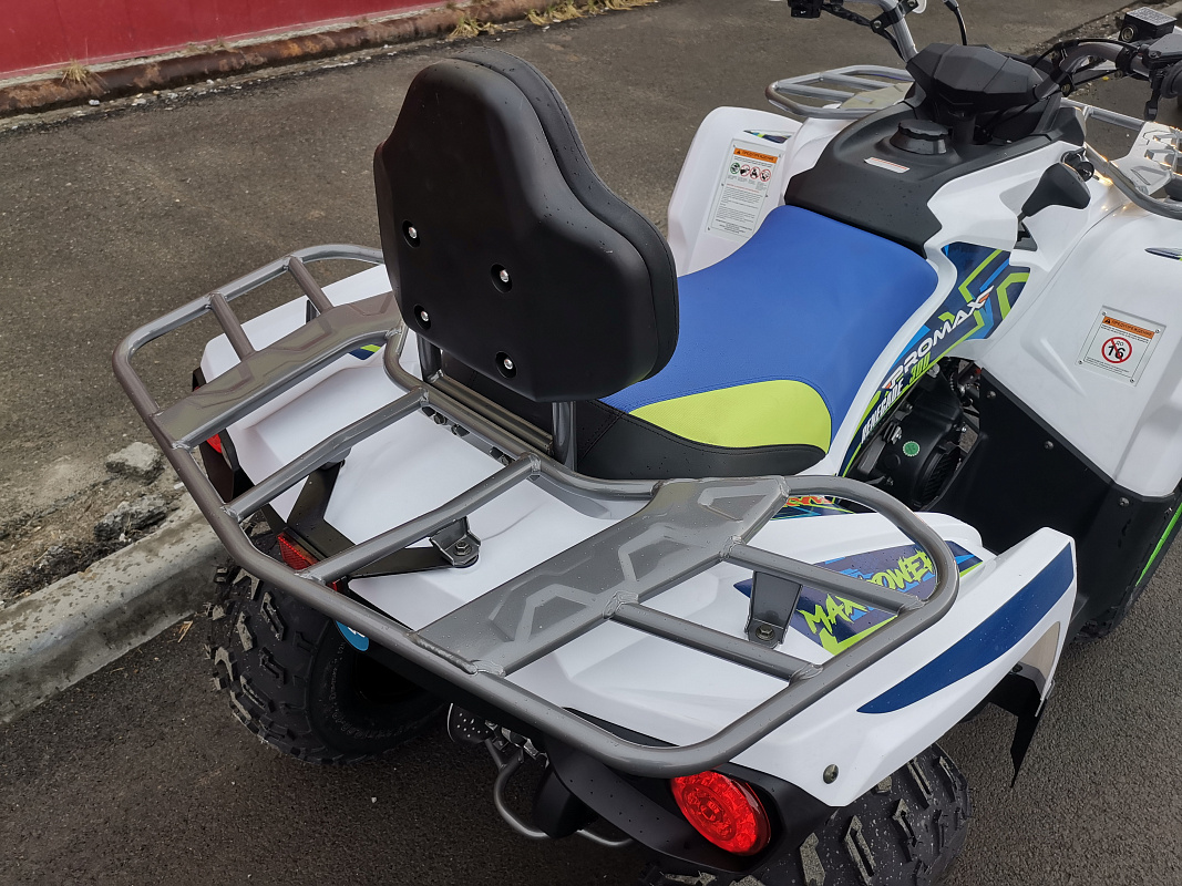 Квадроцикл PROMAX RENEGADE 280 LUX (2025) в Кургане