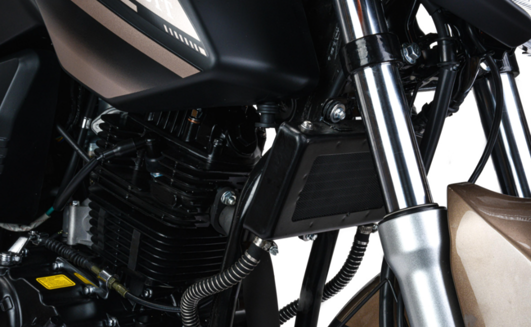 Мотоцикл MOTOLAND (МОТОЛЕНД) 300 BANDIT в Кургане