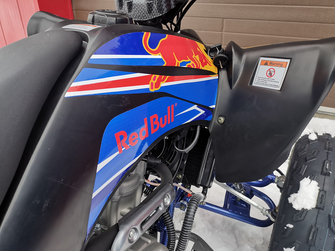 Квадроцикл PROMAX RAPTOR 300 NEW RedBull в Кургане