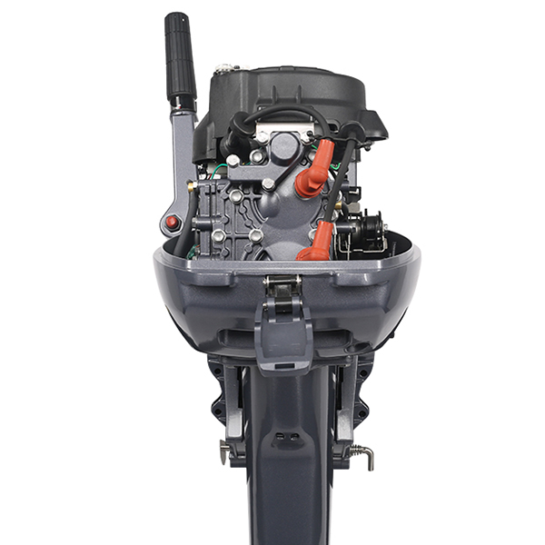 ЛОДОЧНЫЙ МОТОР ALLFA CG Т9,9 Limit в Кургане