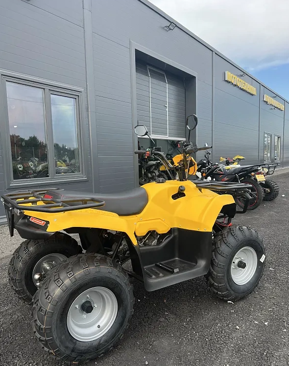 КВАДРОЦИКЛ IRBIS ATV 250  в Кургане