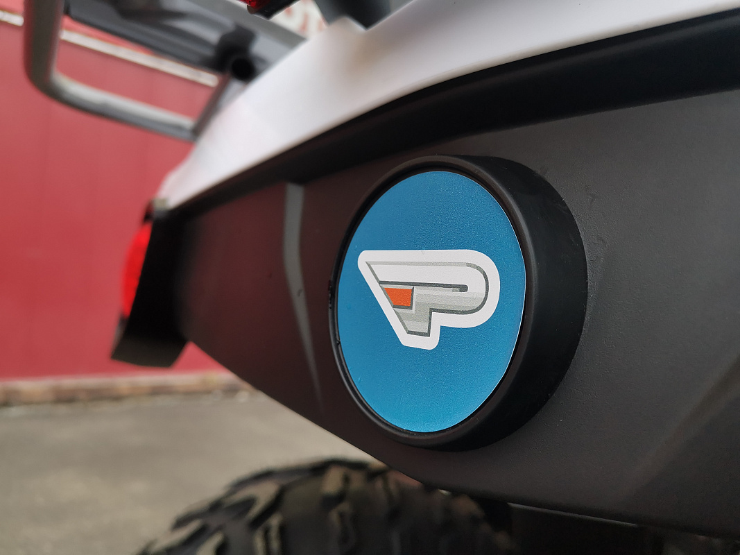 Квадроцикл PROMAX RENEGADE 280 LUX (2025) в Кургане