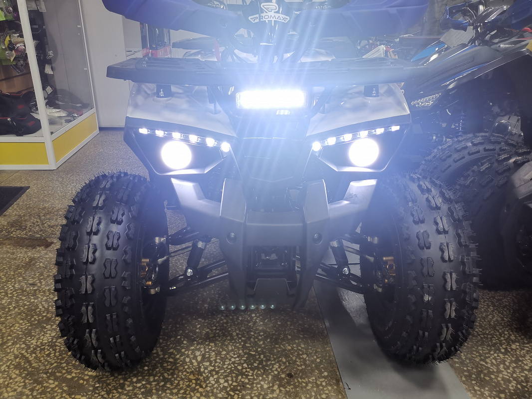 Квадроцикл PROMAX WILD 175 LUX в Кургане