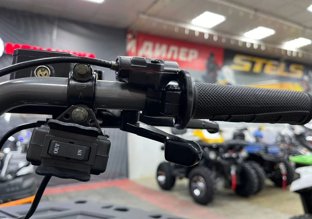 Квадроцикл PROMAX RENEGADE 300 LONG WINCH PRO (2025) в Кургане