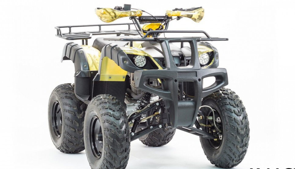 Квадроцикл MOTOLAND (МОТОЛЕНД) 250 ADVENTURE в Кургане