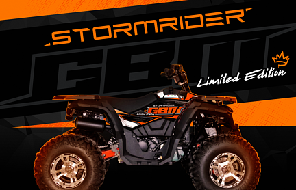 Квадроцикл GBM STORMRIDER 320 NEW LUX в Кургане