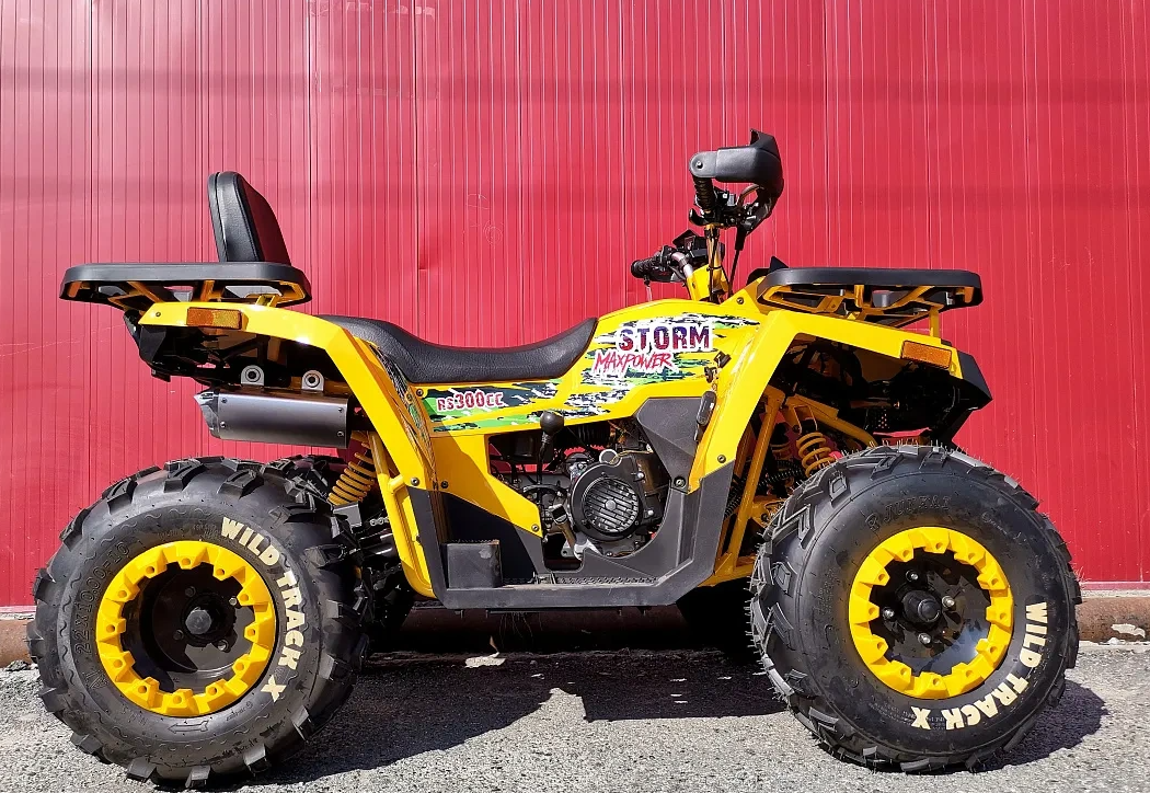 Квадроцикл PROMAX STORM 280 LUX в Кургане