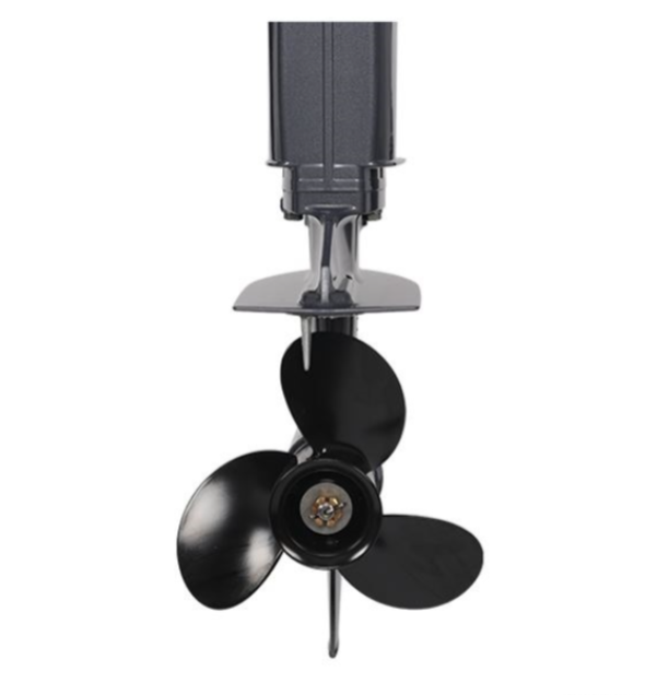 Лодочный мотор ALLFA CG Т40FW S в Кургане