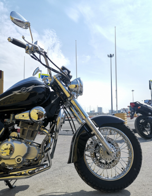 Мотоцикл MOTOLAND (МОТОЛЕНД) WOLF 250 в Кургане