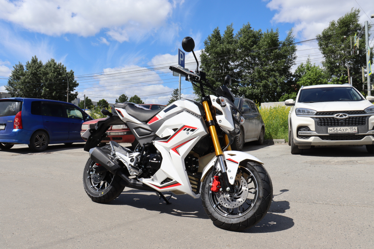 Мотоцикл PROMAX STRYKER 200(49) 2.0 в Кургане