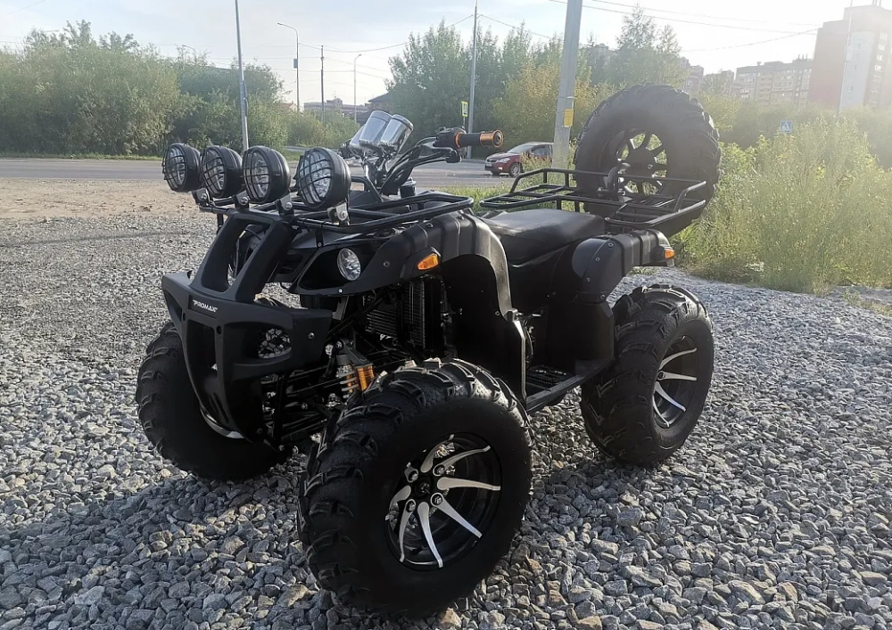 Квадроцикл PROMAX LEO 300 Max (кардан) в Кургане