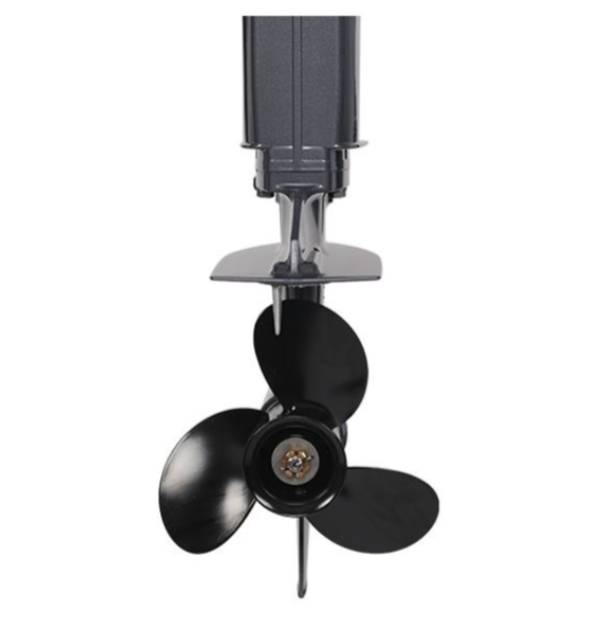 Лодочный мотор ALLFA CG Т40FWT S в Кургане