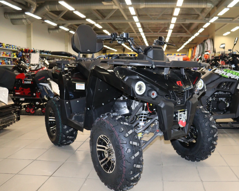 Квадроцикл PROMAX RENEGADE 300 LONG WINCH PRO (2025) в Кургане