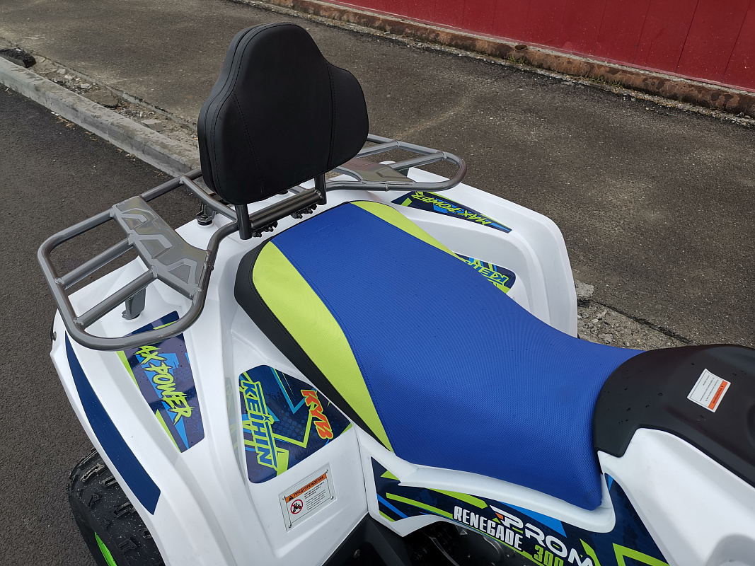 Квадроцикл PROMAX RENEGADE 280 LUX (2025) в Кургане