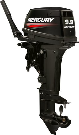 ЛОДОЧНЫЙ МОТОР MERCURY 9.9 MH TMC 247 CC в Кургане