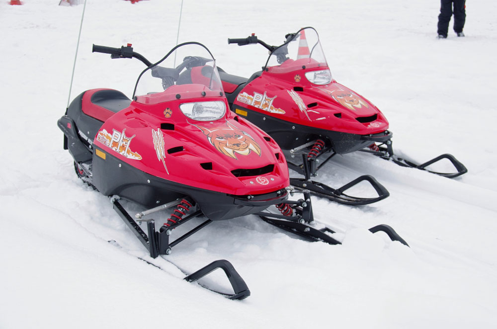 Снегоход РМ ТАЙГА РЫСЬ в Кургане