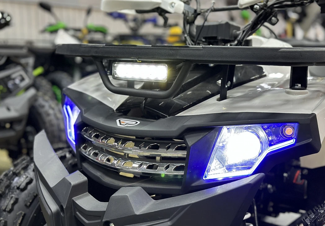 Квадроцикл PROMAX WILD 2.0 190 в Кургане