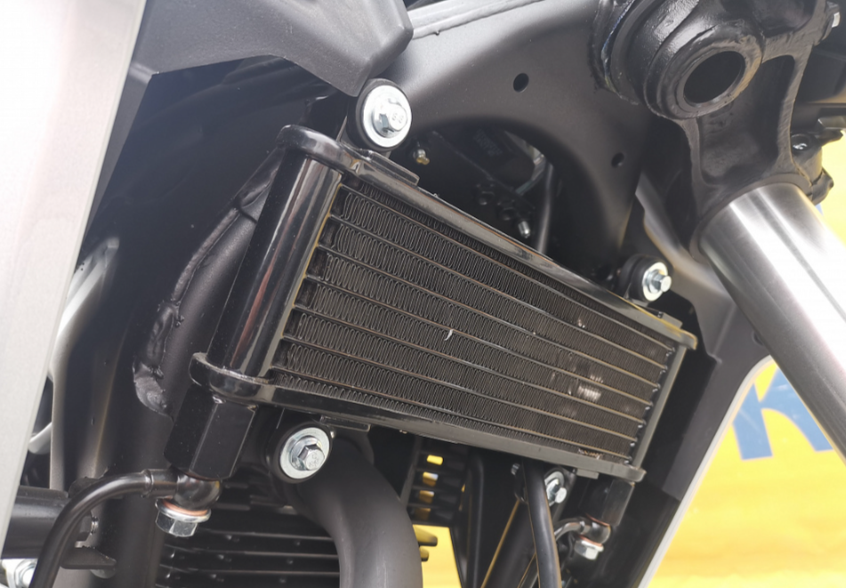 Мотоцикл MOTOLAND (МОТОЛЕНД) 250 CB250 (172FMM-5/PR250) (2022 г.) в Кургане