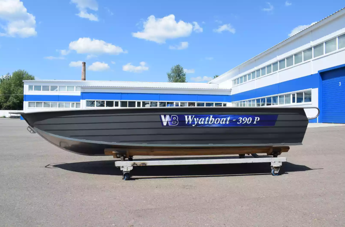 Алюминиевая лодка Wyatboat-390Р Fish в Кургане