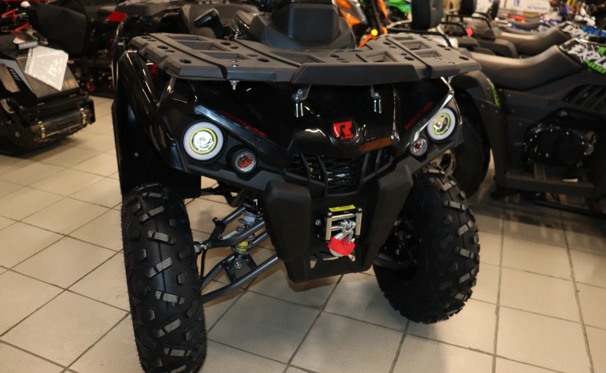 Квадроцикл PROMAX RENEGADE 300 LONG WINCH PRO (2025) в Кургане