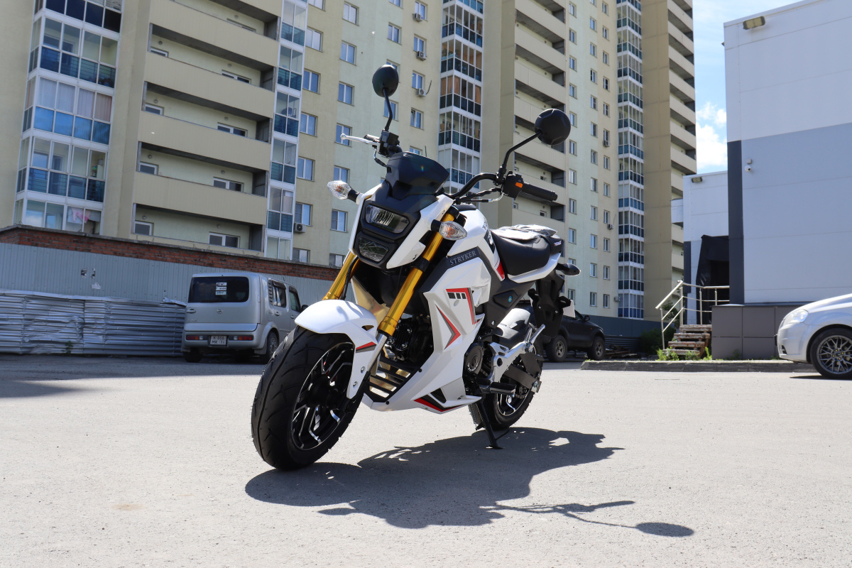 Мотоцикл PROMAX STRYKER 200(49) 2.0 в Кургане