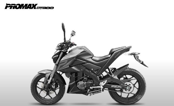 Мотоцикл PROMAX MT300 в Кургане