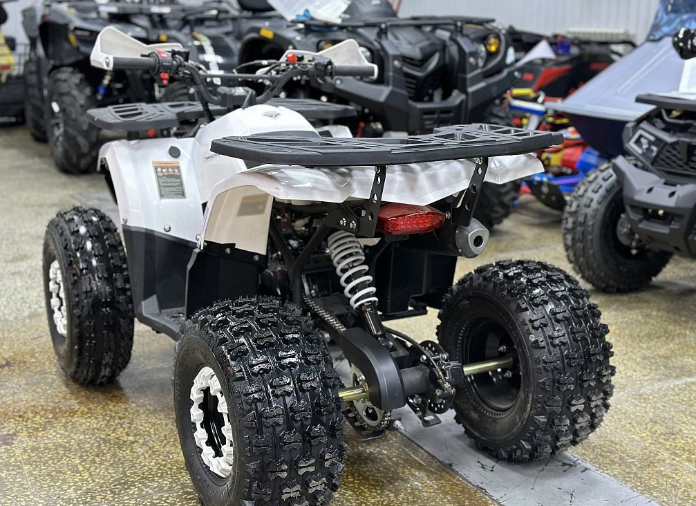 Квадроцикл PROMAX WILD 2.0 190 в Кургане