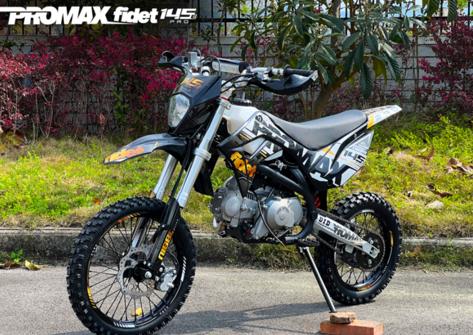 Мотоцикл (питбайк) PROMAX FIDET (ФАЙДЕТ) 145E PRO 17/14 в Кургане