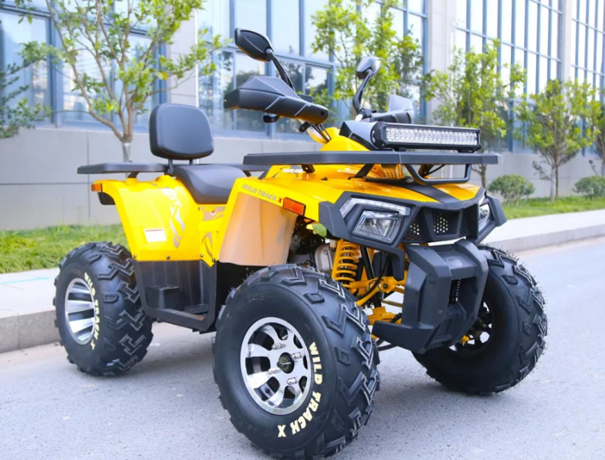 Квадроцикл MOTOLAND (МОТОЛЕНД) VOX200 WILD TRACK X PRO (баланс. вал) в Кургане