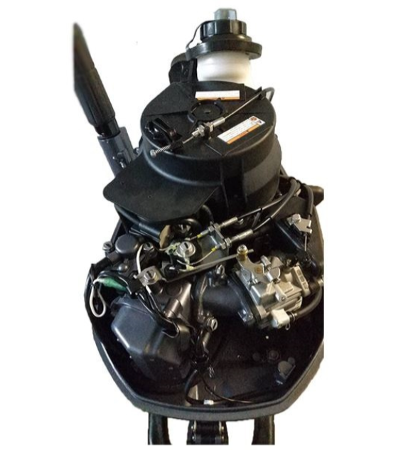 Лодочный мотор ALLFA CG F6 в Кургане