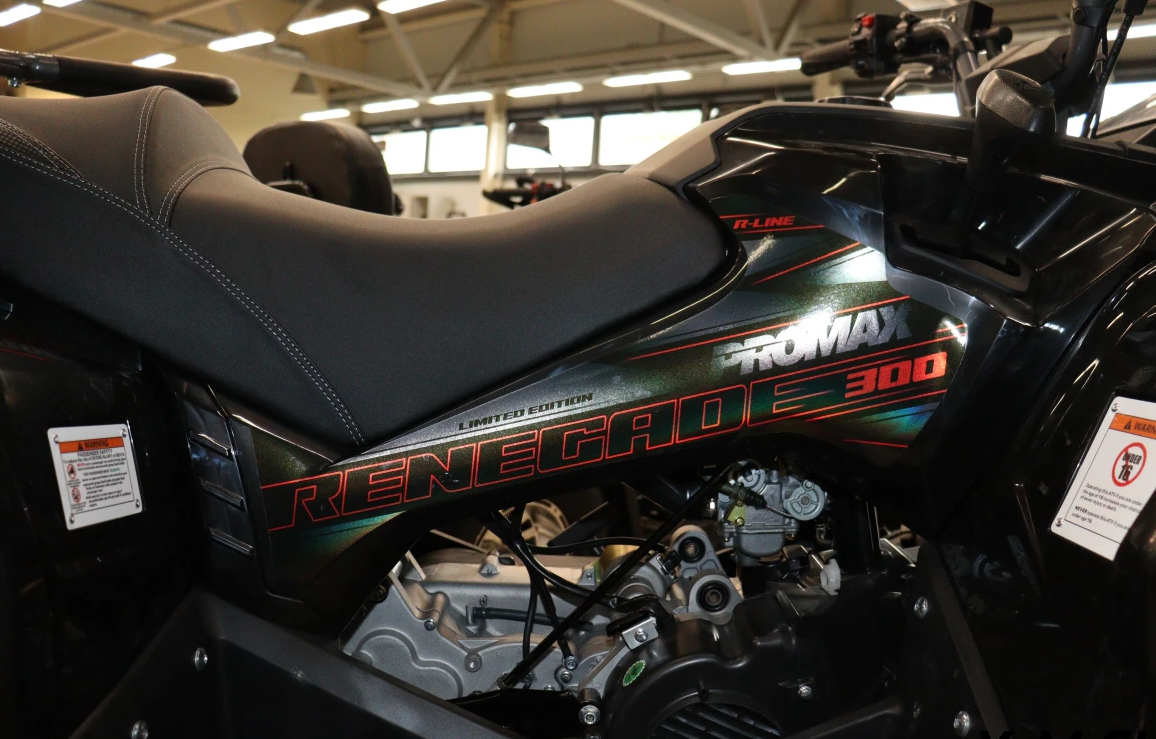 Квадроцикл PROMAX RENEGADE 300 LONG WINCH PRO (2025) в Кургане