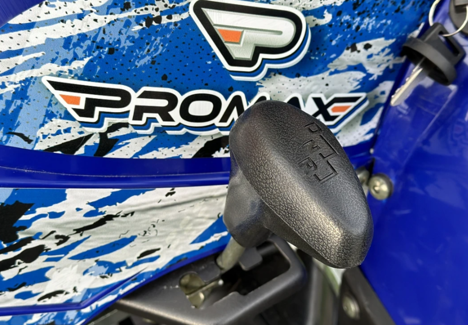  Квадроцикл PROMAX ATV 250 MAX (2025) в Кургане