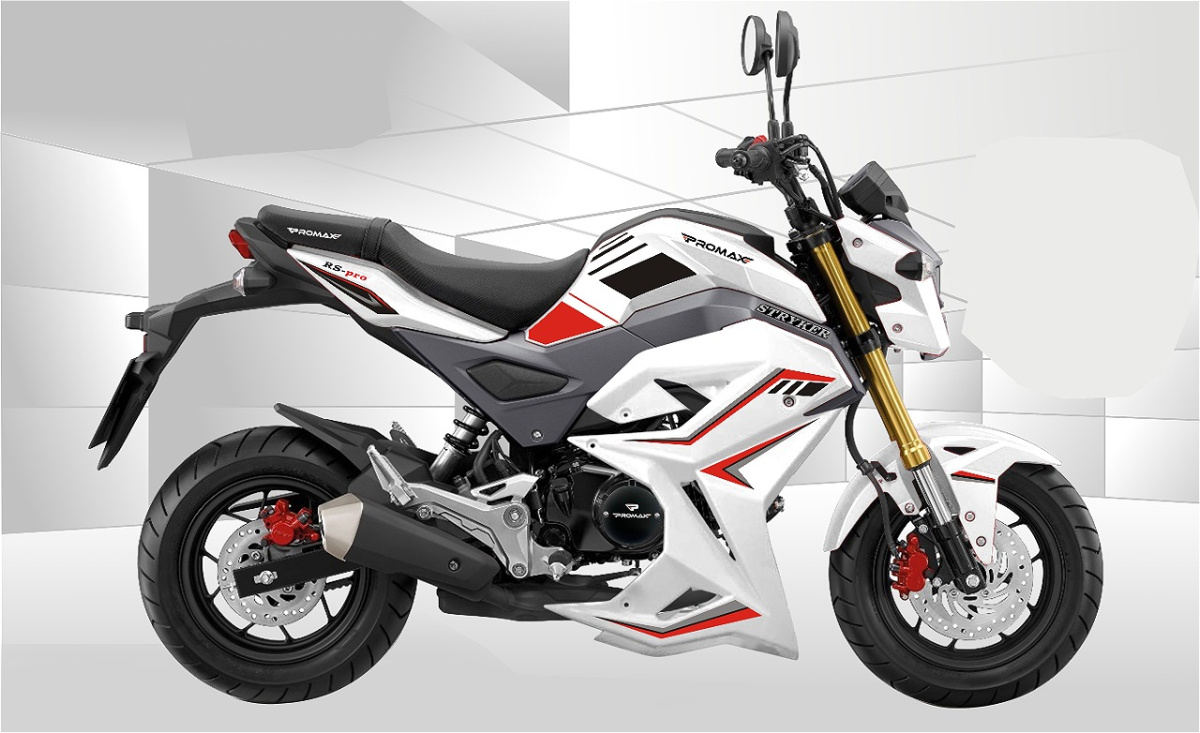 Мотоцикл PROMAX STRYKER 200(49) 2.0 в Кургане